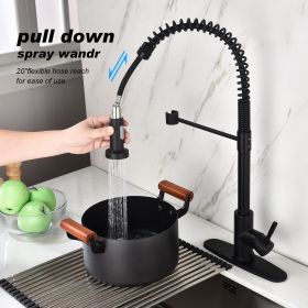 Kitchen Faucet with Pull Out Sprayer-Black